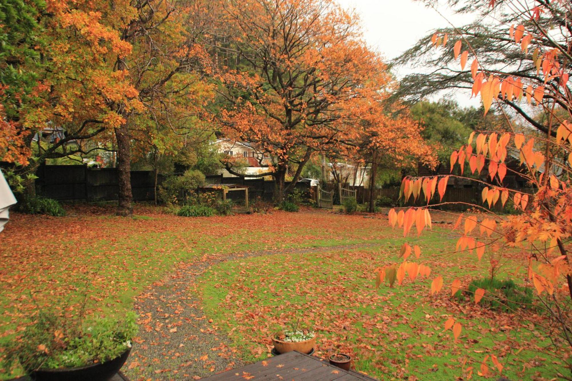 Pinehaven Cottage Upper Hutt Buitenkant foto